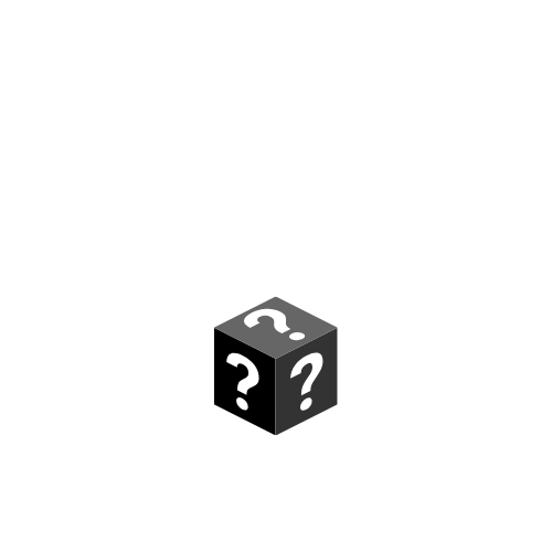 Mystery Box ( 2 Pieces )